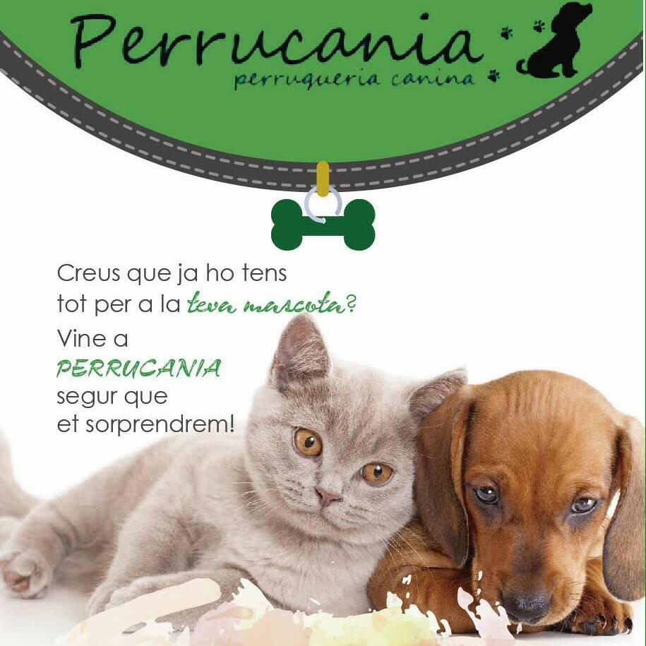 Perrucania foto principal